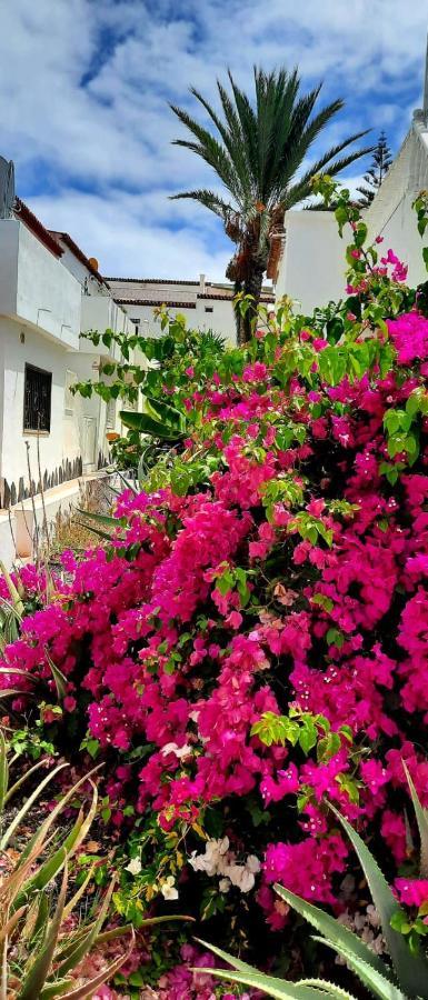 Casa Bonita Apartman Costa Del Silencio Kültér fotó